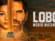 Lobo, Morir Matando